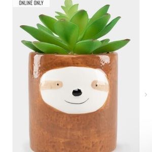 Francesca’s sloth plant